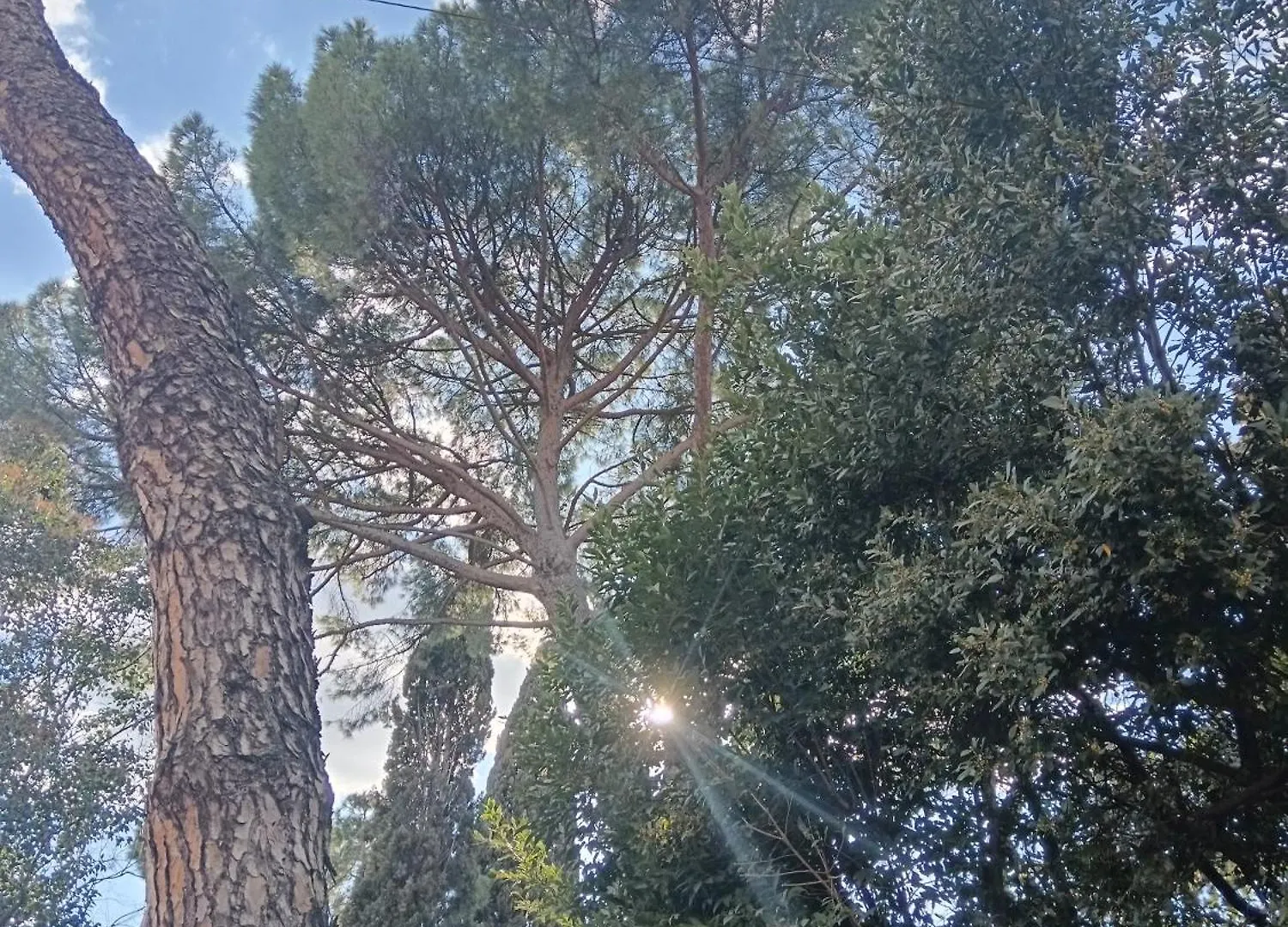 Luna In Villa Florence